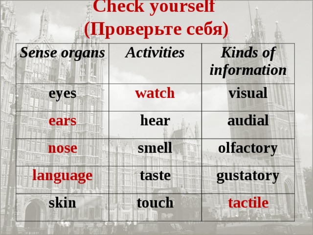 Check yourself  (Проверьте себя) Sense organs eyes Activities Kinds of information w atch ears visual hear nose l anguage smell audial o lfactory taste skin g ustatory touch t actile