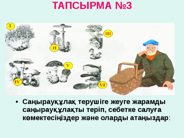 ТАПСЫРМА №3