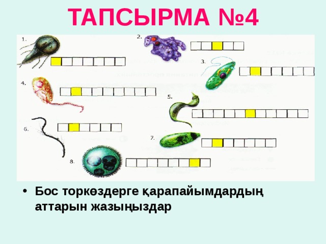 ТАПСЫРМА №4