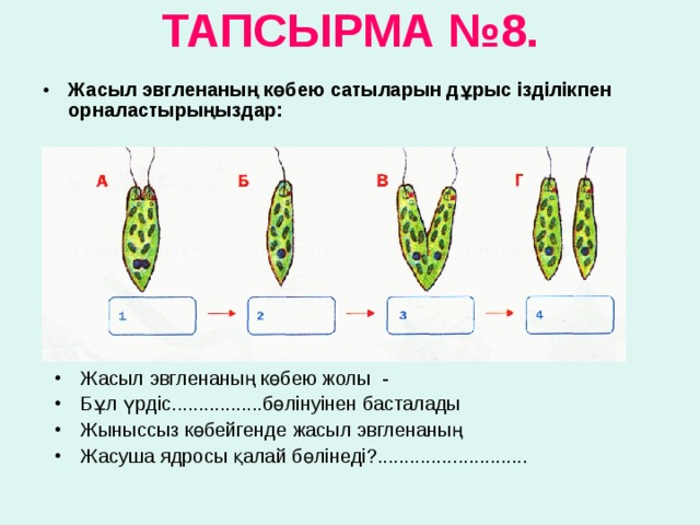 ТАПСЫРМА № 8 .