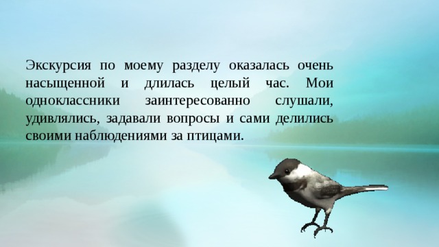 Экскурсия по моему разделу оказалась очень насыщенной и длилась целый час. Мои одноклассники заинтересованно слушали, удивлялись, задавали вопросы и сами делились своими наблюдениями за птицами.