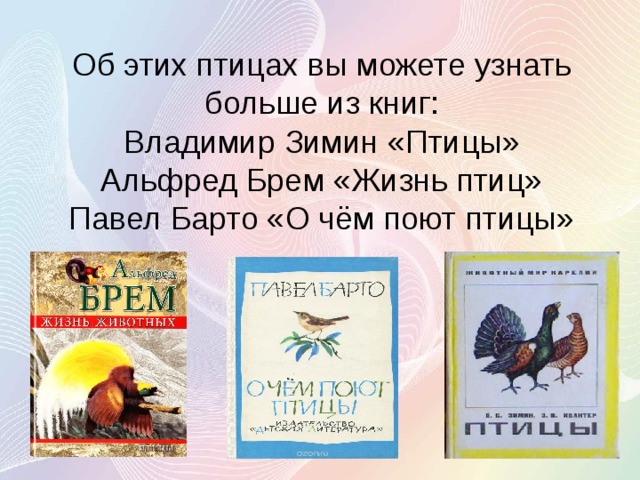 Об этих птицах вы можете узнать больше из книг:  Владимир Зимин «Птицы»  Альфред Брем «Жизнь птиц»  Павел Барто «О чём поют птицы»