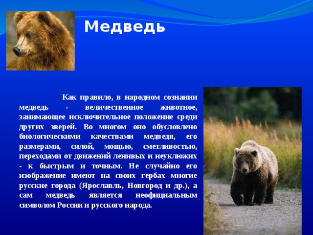 Медведь  Как правило, в народном сознании медведь - величественное животное, занимающее исключительное положение среди других зверей. Во многом оно обусловлено биологическими качествами медведя, его размерами, силой, мощью, сметливостью, переходами от движений ленивых и неуклюжих - к быстрым и точным. Не случайно его изображение имеют на своих гербах многие русские города (Ярославль, Новгород и др.), а сам медведь является неофициальным символом России и русского народа.