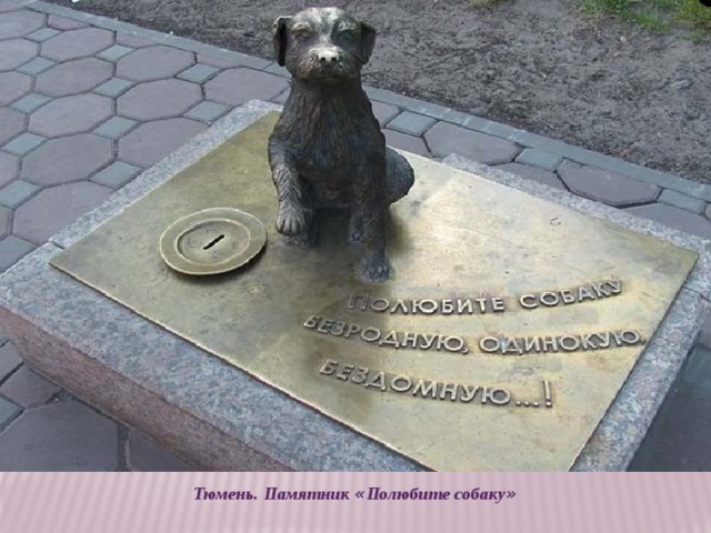 Тюмень. Памятник « Полюбите собаку »