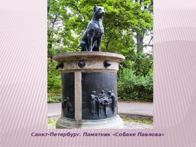 Санкт-Петербург. Памятник «Собаке Павлова»