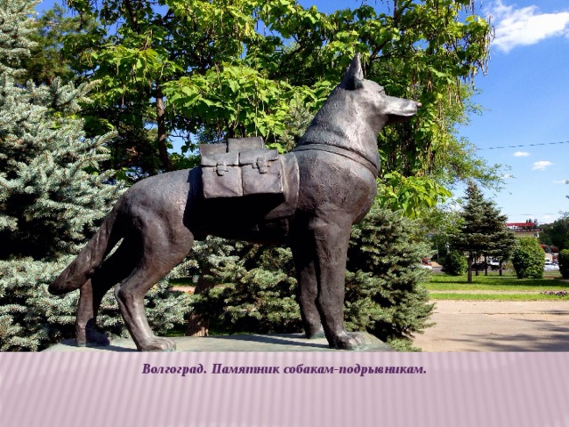 Волгоград. Памятник собакам-подрывникам.