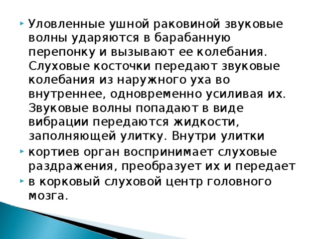 Уловленные ушной раковиной звуковые волны ударяются в барабанную перепонку и вызывают ее колебания. Слуховые косточки передают звуковые колебания из наружного уха во внутреннее, одновременно усиливая их. Звуковые волны попадают в виде вибрации передаются жидкости, заполняющей улитку. Внутри улитки кортиев орган воспринимает слуховые раздражения, преобразует их и передает в корковый слуховой центр головного мозга.