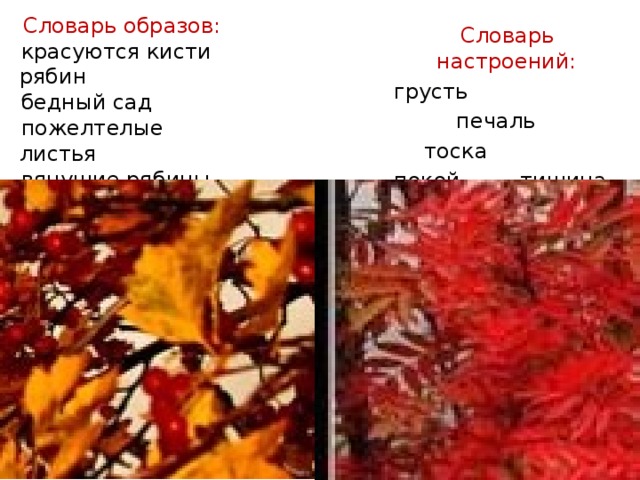 Словарь образов: красуются кисти рябин бедный сад пожелтелые листья вянущие рябины Словарь настроений: грусть   печаль  тоска покой   тишина