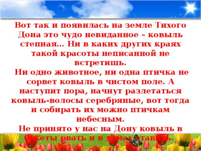 Вот так и появилась на земле Тихого Дона это чудо невиданное – ковыль степная… Ни в каких других краях такой красоты неписанной не встретишь.  Ни одно животное, ни одна птичка не сорвет ковыль в чистом поле. А наступит пора, начнут разлетаться ковыль-волосы серебряные, вот тогда и собирать их можно птичкам небесным. Не принято у нас на Дону ковыль в букеты рвать и в домах ставить.