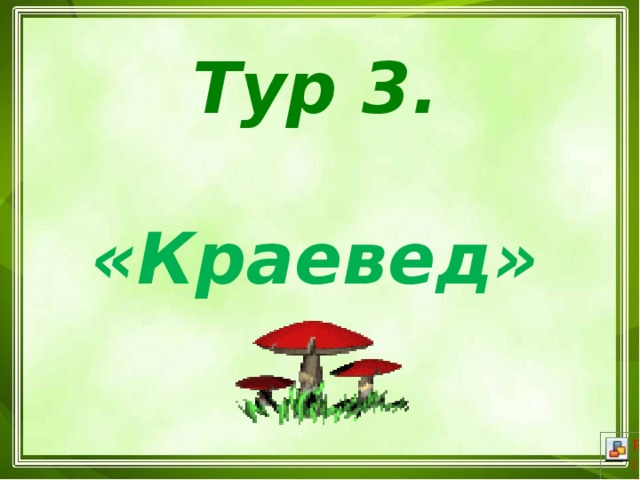 Тур 3. «Краевед»