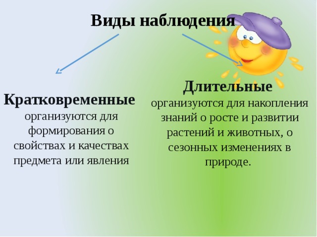 Организация бодрствования детей в дошкольных учреждениях: трудовой деятельности,