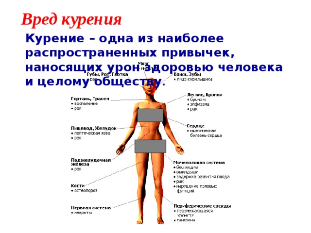 Вред курения  Курение – одна из наиболее распространенных привычек, наносящих урон здоровью человека и целому обществу .