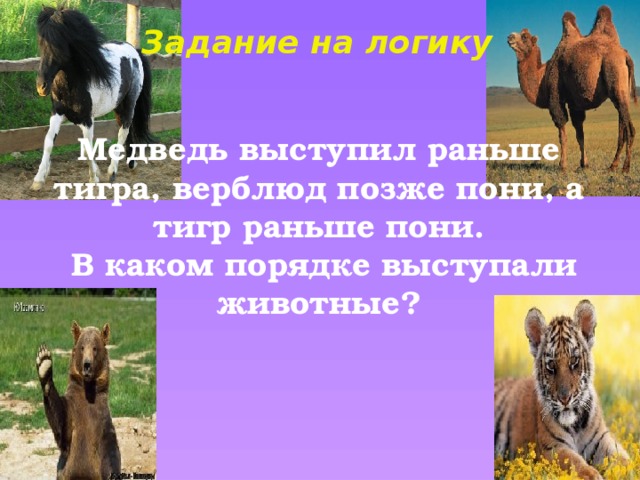 Задание на логику Медведь выступил раньше тигра, верблюд позже пони, а тигр раньше пони.  В каком порядке выступали животные?