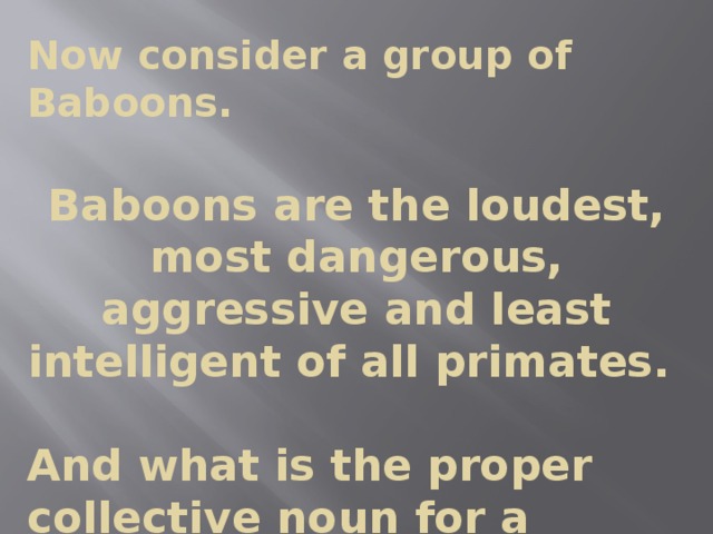 Now consider a group of Baboons.  Baboons are the loudest, most dangerous, aggressive and least intelligent of all primates.   And what is the proper collective noun for a group of baboons?
