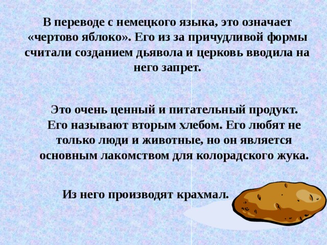 В переводе с немецкого языка, это означает «чертово яблоко». Его из за причудливой формы считали созданием дьявола и церковь вводила на него запрет. В переводе с немецкого языка, это означает «чертово яблоко». Его из за причудливой формы считали созданием дьявола и церковь вводила на него запрет.  Это очень ценный и питательный продукт. Его называют вторым хлебом. Его любят не только люди и животные, но он является основным лакомством для колорадского жука. Это очень ценный и питательный продукт. Его называют вторым хлебом. Его любят не только люди и животные, но он является основным лакомством для колорадского жука.  Из него производят крахмал.