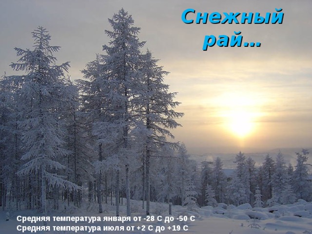 Снежный рай… Средняя температура января от -28 C до -50 C  Средняя температура июля от +2 C до +19 C