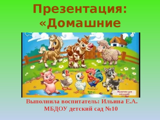 Презентация: «Домашние животные»          Выполнила воспитатель: Ильина Е.А. МБДОУ детский сад №10