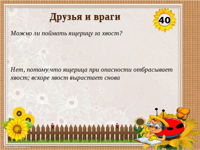 Друзья и враги 40 Можно ли поймать ящерицу за хвост? Нет, потому что ящерица при опасности отбрасывает хвост; вскоре хвост вырастает снова