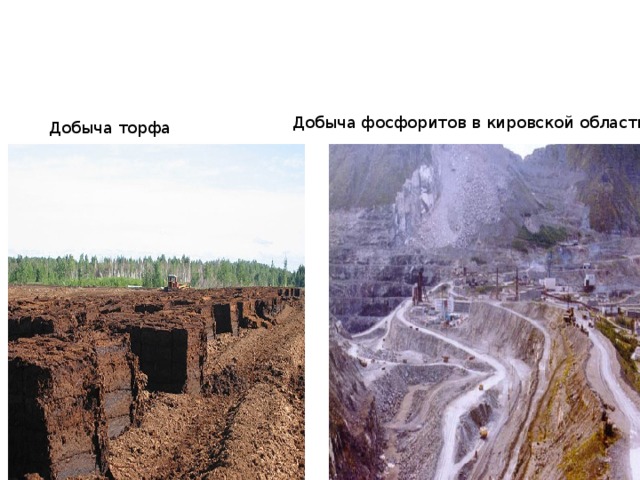 Добыча фосфоритов в кировской области Добыча торфа