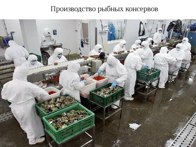 Производство рыбных консервов