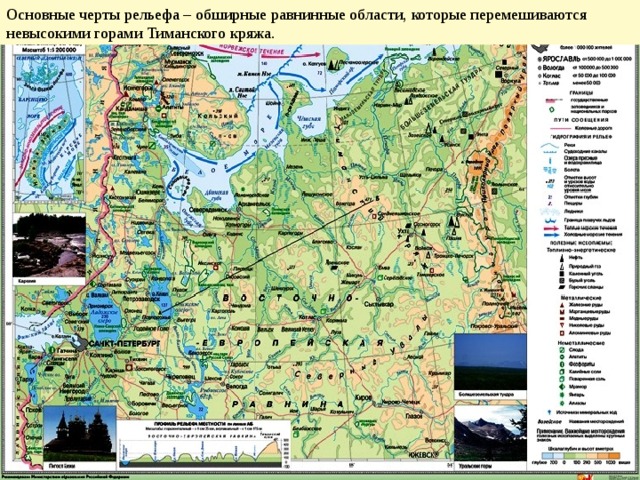 Основные черты рельефа – обширные равнинные области, которые перемешиваются невысокими горами Тиманского кряжа.