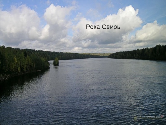Свирь онежское озеро. Река Свирь. Река Свирь Ленинградская область. Исток реки Свирь. Онежское озеро и река Свирь.