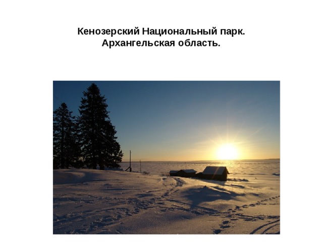 Кенозерский Национальный парк.  Архангельская область.