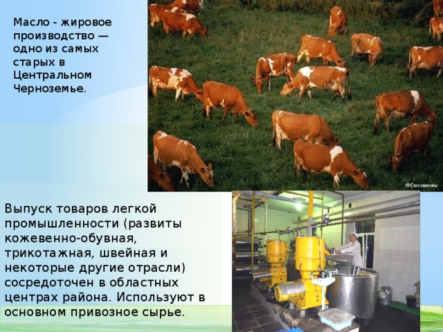 Масло - жировое производство — одно из самых старых в Центральном Черноземье. Выпуск товаров легкой промышленности (развиты кожевенно-обувная, трикотажная, швейная и некоторые другие отрасли) сосредоточен в областных центрах района. Используют в основном привозное сырье.