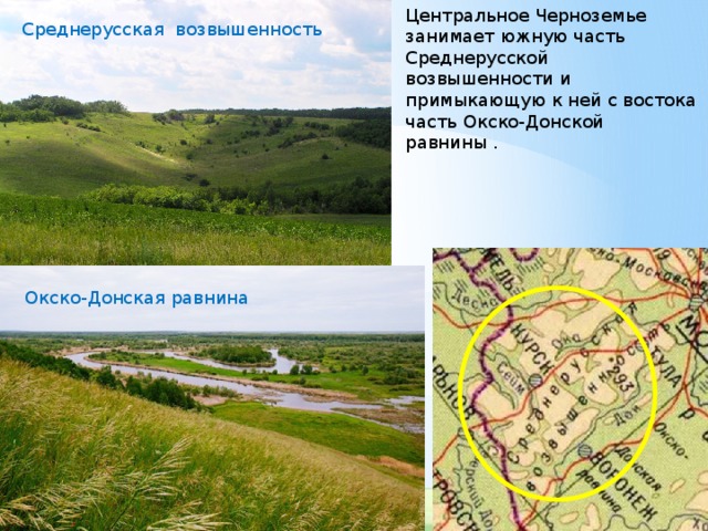 Центральное Черноземье занимает южную часть Среднерусской возвышенности и примыкающую к ней с востока часть Окско-Донской равнины . Среднерусская возвышенность Окско-Донская равнина