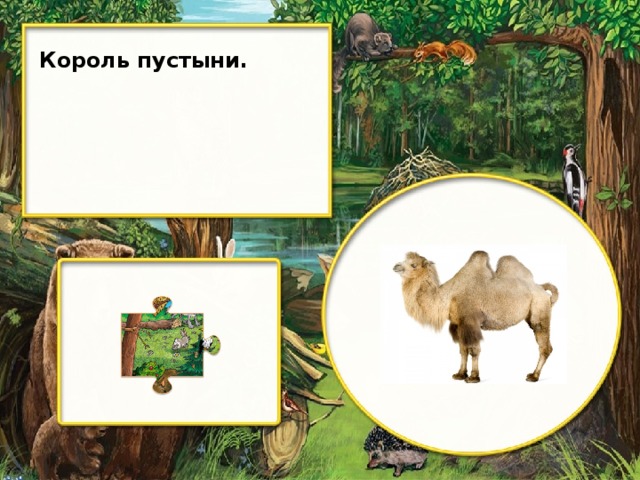 Король пустыни.