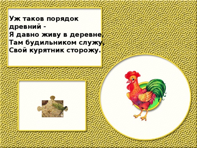 Уж таков порядок древний - Я давно живу в деревне, Там будильником служу, Свой курятник сторожу.