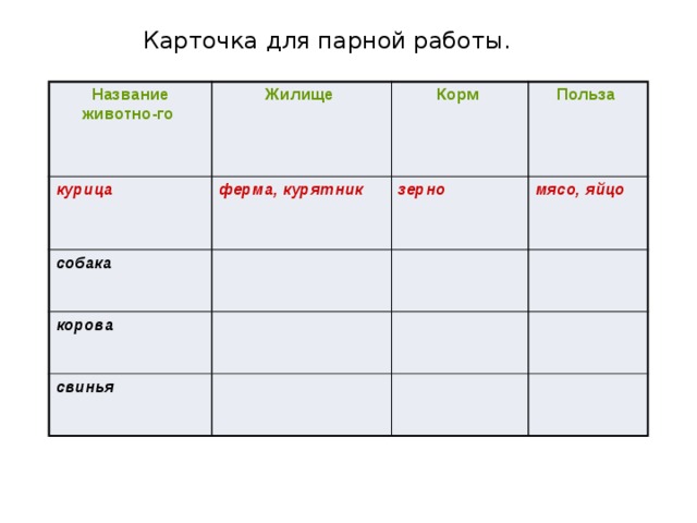 Карточка для парной работы. Название животно-го Жилище курица Корм ферма, курятник собака Польза зерно корова мясо, яйцо свинья