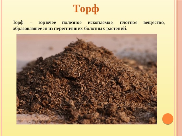 Торф Торф – горючее полезное ископаемое, плотное вещество, образовавшееся из перегнивших болотных растений.