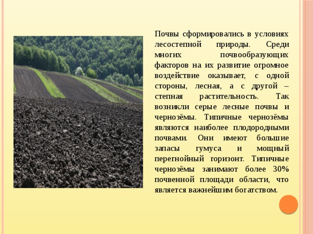 Почвы сформировались в условиях лесостепной природы. Среди многих почвообразующих факторов на их развитие огромное воздействие оказывает, с одной стороны, лесная, а с другой – степная растительность. Так возникли серые лесные почвы и чернозёмы. Типичные чернозёмы являются наиболее плодородными почвами. Они имеют большие запасы гумуса и мощный перегнойный горизонт. Типичные чернозёмы занимают более 30% почвенной площади области, что является важнейшим богатством.