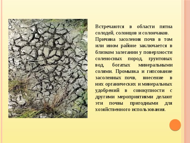 Встречаются в области пятна солодей, солонцов и солончаков. Причина засоления почв в том или ином районе заключается в близком залегании у поверхности соленосных пород, грунтовых вод, богатых минеральными солями. Промывка и гипсование засоленных почв, внесение в них органических и минеральных удобрений в совокупности с другими мероприятиями делают эти почвы пригодными для хозяйственного использования.