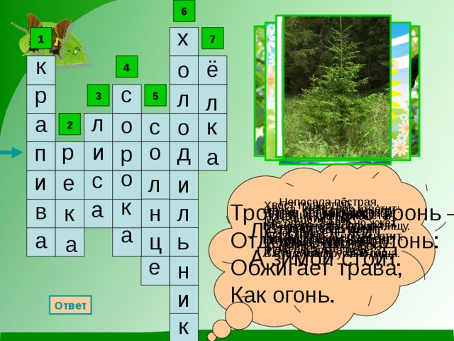 6 х 1 7 к ё о 4 с р л 5 3 л л а о к с о 2 р и о д п р а о с и е л и к Непоседа пёстрая, а Птица длиннохвостая, Птица говорливая, Самая болтливая. в Хвост пушистый, Тронь, только тронь – Отдёрнешь ладонь: Мех золотистый, В лесу живёт, Обжигает трава, В деревне кур крадёт. Как огонь. н л к Ну-ка, кто из вас ответит: Не огонь, а больно жжёт, Не фонарь, а ярко светит, И не пекарь, а печёт? Что же это за девица? В этом белом сундучище Мы храним на полках пищу. Не швея не мастерица, Ничего сама не шьёт, На дворе стоит жарища, А в иголках круглый год. В сундучище – холодища. Летом бежит, А зимой стоит. а а ц ь  а е н и Ответ к