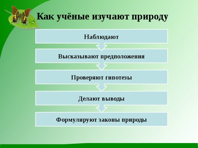 Делают выводы Проверяют гипотезы Высказывают предположения Наблюдают Как учёные изучают природу Формулируют законы природы