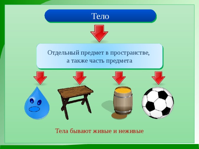 Тело Отдельный предмет в пространстве, а также часть предмета Тела бывают живые и неживые