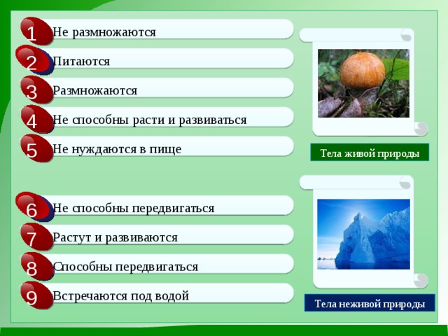 1 Не размножаются 2 Питаются 3 Размножаются 4 Не способны расти и развиваться 5 Не нуждаются в пище Тела живой природы 6 Не способны передвигаться 7 Растут и развиваются 8 Способны передвигаться 9 Встречаются под водой Тела неживой природы