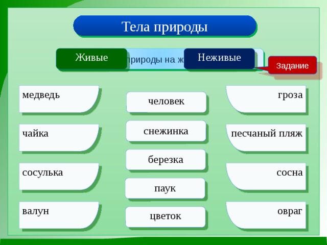 Тела природы Живые Неживые Раздели тела природы на живые и неживые Задание гроза медведь человек снежинка чайка песчаный пляж березка сосулька сосна паук валун овраг цветок