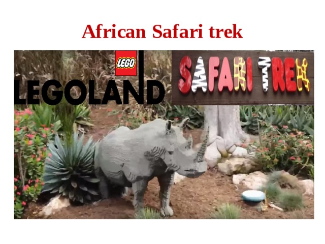 African Safari trek