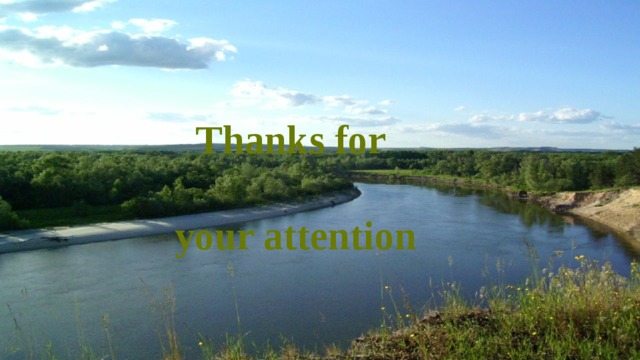 Thanks for   your attention