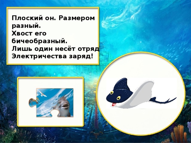 Плоский он. Размером разный. Хвост его бичеобразный. Лишь один несёт отряд Электричества заряд!