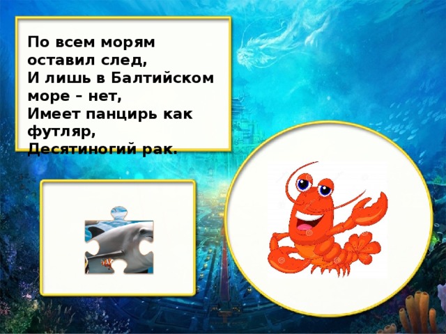 По всем морям оставил след, И лишь в Балтийском море – нет, Имеет панцирь как футляр, Десятиногий рак.