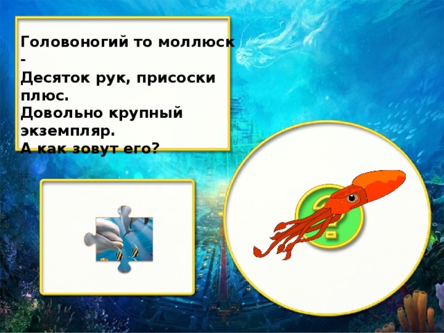 Головоногий то моллюск - Десяток рук, присоски плюс. Довольно крупный экземпляр. А как зовут его?