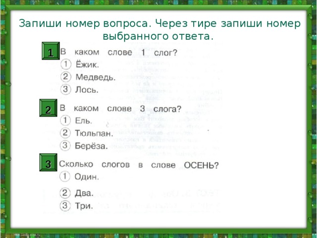 Запиши номер правильного ответа