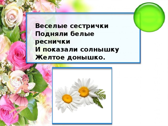 Веселые сестрички Подняли белые реснички И показали солнышку Желтое донышко.