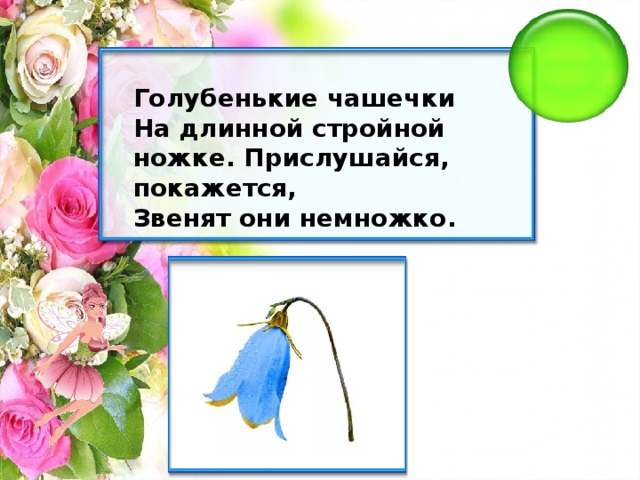 Голубенькие чашечки На длинной стройной ножке. Прислушайся, покажется, Звенят они немножко.