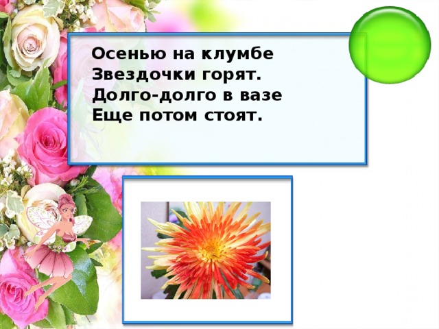 Осенью на клумбе Звездочки горят. Долго-долго в вазе Еще потом стоят.