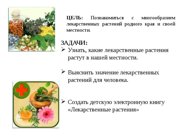 ЦЕЛЬ: Познакомиться с многообразием лекарственных растений родного края и своей местности. ЗАДАЧИ: